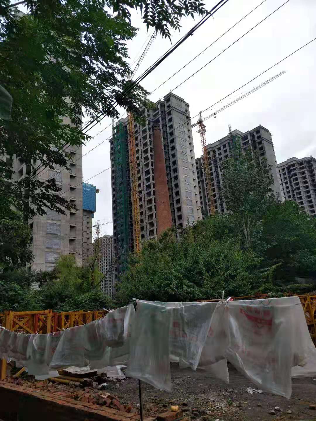 许昌中梁西都府业主总群,许昌中梁西都府业主群,许昌中梁西都府业主