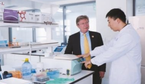 劳伊·雷迪——大型人工智能之父