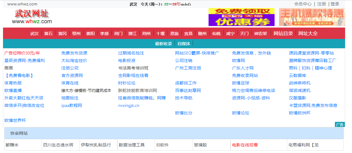 武汉网站